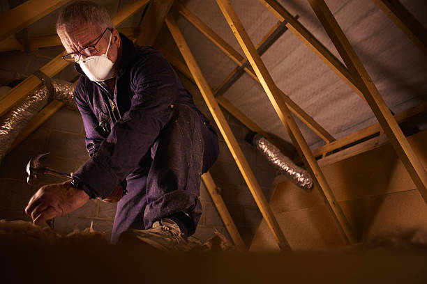 Best Blown-in Insulation in Hoffman Estates, IL