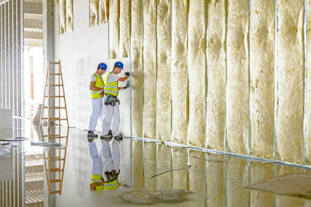 Best DIY Insulation Kits and Guidance in Hoffman Estates, IL